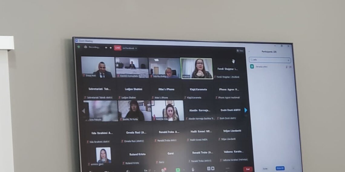 KËSHILLI KONSULTATIV MBËSHTET EKSPERTËT VENDORË